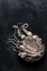 Raw octopus on plate on black marble background — Stock Photo