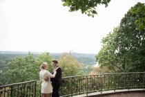 Задний вид на обнимание элегантных невесты и жениха, стоящих на террасе с висячими замками на заборе и знакомство с природой — стоковое фото