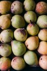 Peras frescas orgánicas maduras en capa - foto de stock