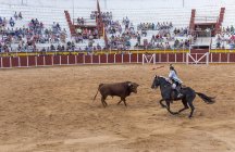 Spain, Tomelloso - 28. 08. 2018. View of female bullfighter riding horse and fighting with bull on sandy area with people on tribune — Stock Photo