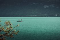 Side view of people standing on surfing board and paddling on beautiful lake with forest coastline on Austria — Stock Photo