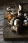 Купа яскраво підібраних грибів болетус з корінням і брудом — стокове фото
