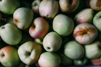 Amontoado de maçãs maduras colhidas frescas — Fotografia de Stock