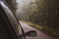 Віконце і дзеркало крила сучасної машини, що подорожує густим лісом у Болгарії (Балкани). — стокове фото