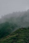 Donna che cammina su una collina verde — Foto stock