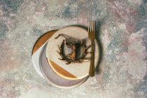 Christmas table set in white and gold colors decorated with figure of deer on concrete surface — Stock Photo