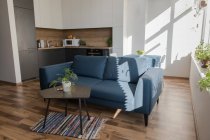 Комфортний диван, що стоїть біля кухонних меблів у стильній кімнаті сучасної квартири в сонячний день — стокове фото