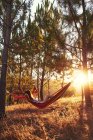 Unrecognizable?female with brown hair wearing red with white stripped swimsuit lying in colorful hammock at meadow with few green trees and many bushes with grass at sunny day — Stock Photo