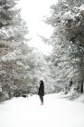 Pretty young female in stylish outfit looking away while standing near tree covered with snow on cold day in wonderful countryside — Stock Photo