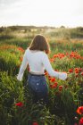 Rückansicht einer unkenntlich gemachten Frau in lässigem Outfit, die an sonnigen Tagen zwischen schönen Mohnblumen auf einer herrlichen Wiese spaziert — Stockfoto