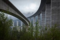 Bela alta Concha Artedo viaduto com árvores verdes abaixo e céu nublado sombrio acima — Fotografia de Stock