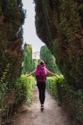 Visão traseira de esportista com mochila rosa andando no parque entre arbustos verdes exuberantes à luz do dia — Fotografia de Stock