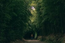 Side view of woman walking on path in forest with green high lush trees — Stock Photo