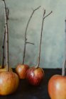 Äpfel auf Holzstäbchen zur Herstellung von Karamell-Halloween-Leckerbissen — Stockfoto