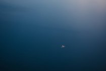 Вид далеких малых самолетов на лазурном небе — стоковое фото