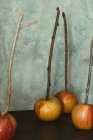 Manzanas en palos de madera para hacer caramelo Halloween tratar - foto de stock