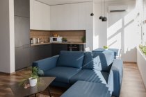 Canapé confortable debout près des meubles de cuisine dans la chambre élégante de l'appartement moderne le jour ensoleillé — Photo de stock