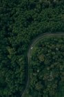 Aerial view of winding motorway with moving car among lush green forest — Stock Photo