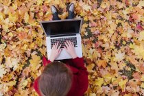 Top view of lady in red coat using?device and sitting on soil between falling yellow maple leaves — Stock Photo