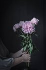 Mãos femininas segurando um monte de peônias rosa frescas no fundo escuro — Fotografia de Stock