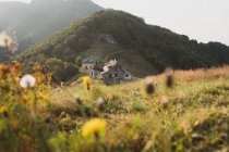 Vue pittoresque de petites maisons debout au sommet d'une colline verdoyante par temps ensoleillé en Bulgarie, Balkans — Photo de stock