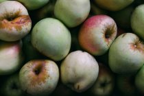 Купа свіжих підібраних стиглих яблук — стокове фото