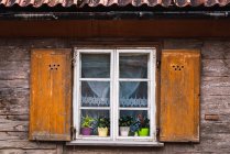 Fenêtre en bois avec des fleurs en pot du vieux bâtiment pittoresque — Photo de stock