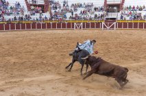 Испания, Томеллосо - 28. 08. 08 2018 год. Вид женщины-быка верхом на лошади и бой с быком на песчаной площади с людьми на трибунах — стоковое фото