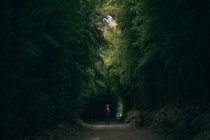 Frau läuft in Wald mit hohen Bäumen — Stockfoto