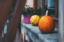 Decorated rustic window with pumpkins and potted plant — Stock Photo