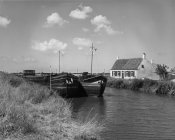 Black and white view of few boats moored pier with idyllic water and swans swimming, Belgium. — Stock Photo