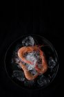 Fresh boiled prawns with ice on black plate — Stock Photo