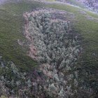 Vista aérea de la ladera de la montaña con tranquilos bosques fríos - foto de stock