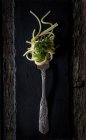 Spaghetti mit Pesto-Sauce auf Gabel auf dunklem Holzgrund — Stockfoto