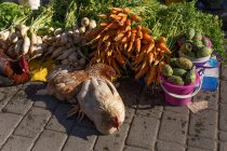 Їжа на вулиці. Овочі, фрукти, живі кури, морква — стокове фото