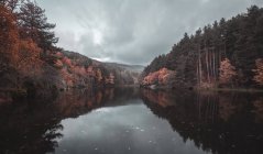 Calm river between autumn forest and hills under cloudy sky — Stock Photo