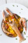 Paella maison aux écrevisses et crevettes servie sur assiette blanche — Photo de stock