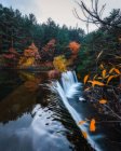 Salpicando cascada y follaje del bosque otoñal - foto de stock