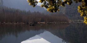 Eau calme du lac reflétant le rivage avec des arbres nus au soleil — Photo de stock