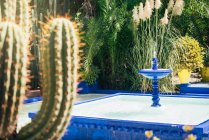 Water fountain in beautiful garden full of cacti in Marrakesh, Morocco — Stock Photo