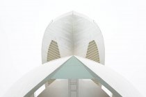 VALENCIA, ESPAGNE - 8 NOVEMBRE 2018 : Vue d'en bas d'une étonnante structure moderne contre le ciel blanc dans la Cité des Arts et des Sciences de Valence, Espagne — Photo de stock