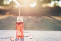 Botella con bebida de fruta fresca y paja para beber en la mesa al aire libre - foto de stock