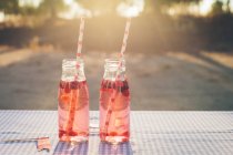 Bouteilles avec boisson aux fruits frais et pailles à boire sur la table à l'extérieur — Photo de stock