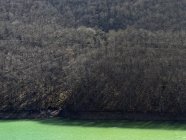Пейзаж лиственных деревьев на берегу спокойной голубой реки в солнечном свете — стоковое фото