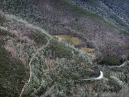 Вид з повітря на гірський схил зі спокійними холодними лісами та дорогами — стокове фото