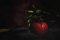 Сырое красное яблоко с листьями на черной ткани — стоковое фото