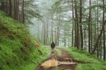 L'uomo sulla strada di campagna che corre tra la foresta verde — Foto stock