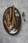 Plate of raw razor clams on ice on grey surface — Stock Photo