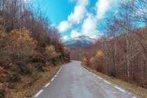 Perspectiva de la carretera pavimentada vacía huyendo entre árboles desnudos otoñales sobre el fondo de las montañas, España - foto de stock