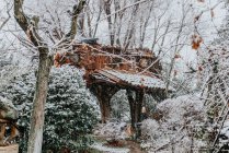 Casa sobre árboles en bosque de invierno - foto de stock